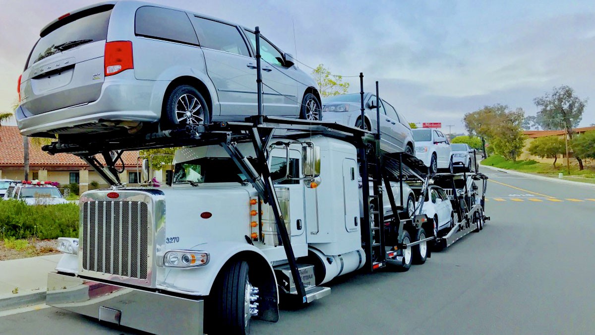 Read more about the article What Makes HZ Transport Services the Best Car Shipping Company?